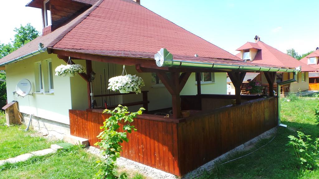 Vila Casa Ada Arpaşu de Sus Pokoj fotografie
