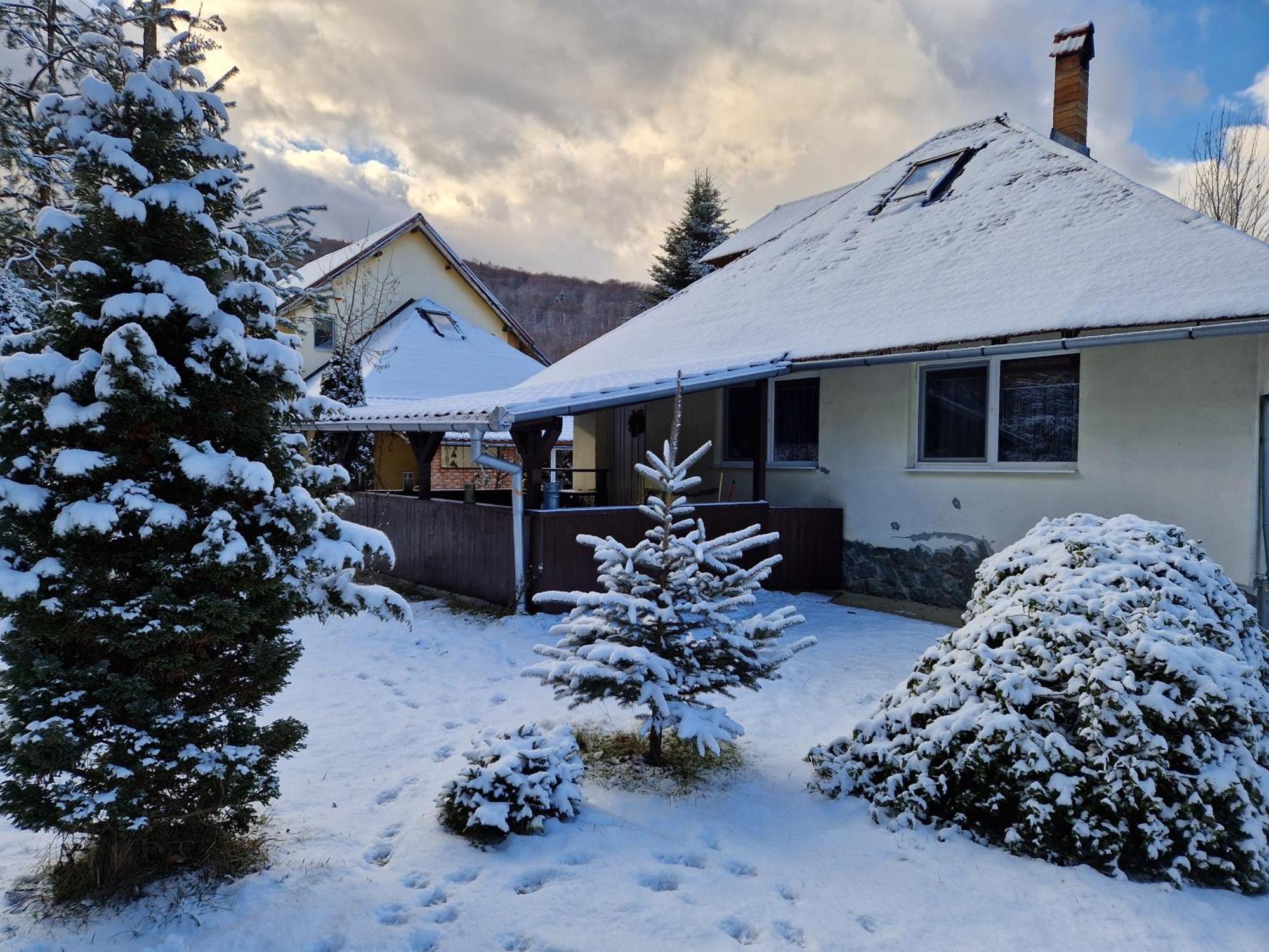 Vila Casa Ada Arpaşu de Sus Exteriér fotografie