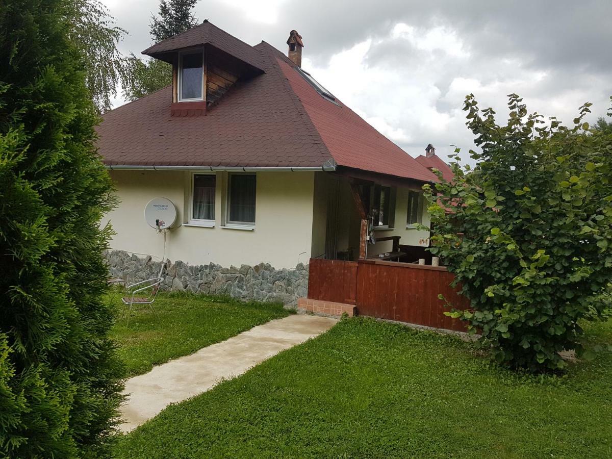 Vila Casa Ada Arpaşu de Sus Exteriér fotografie
