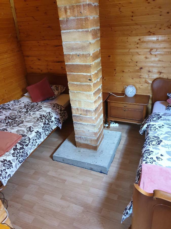 Vila Casa Ada Arpaşu de Sus Exteriér fotografie